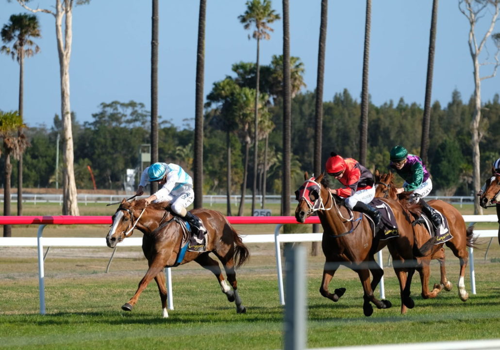 Country Championships Race 2023