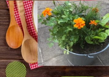 Plant a mini salad garden to take home