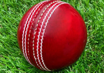 Veteran's Cricket Matches