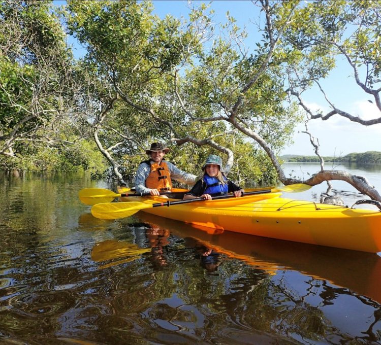 Paddling the Myall River from Tea Gardens