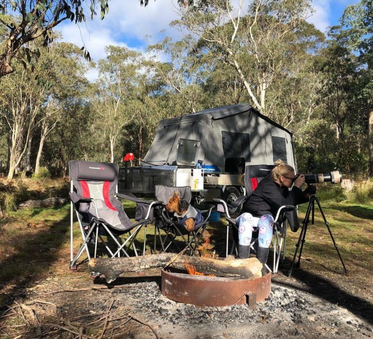 Best places for camping with dogs in the Barrington Coast