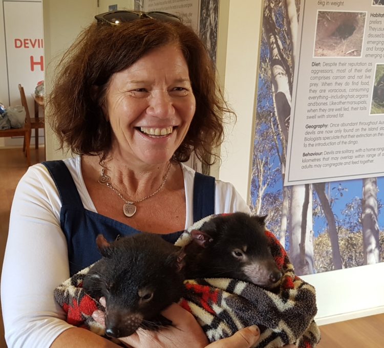 Cuddle a Tasmanian Devil joey at Aussie Ark