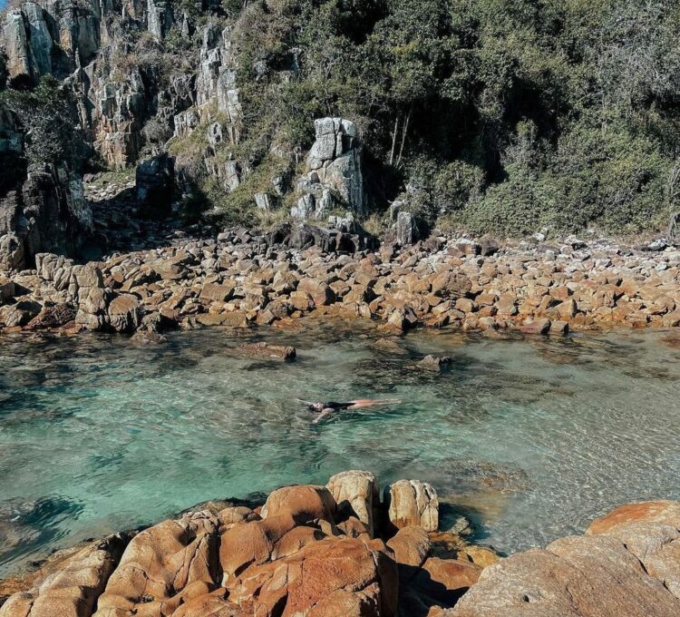 Where to find the best rock pools of the Barrington Coast