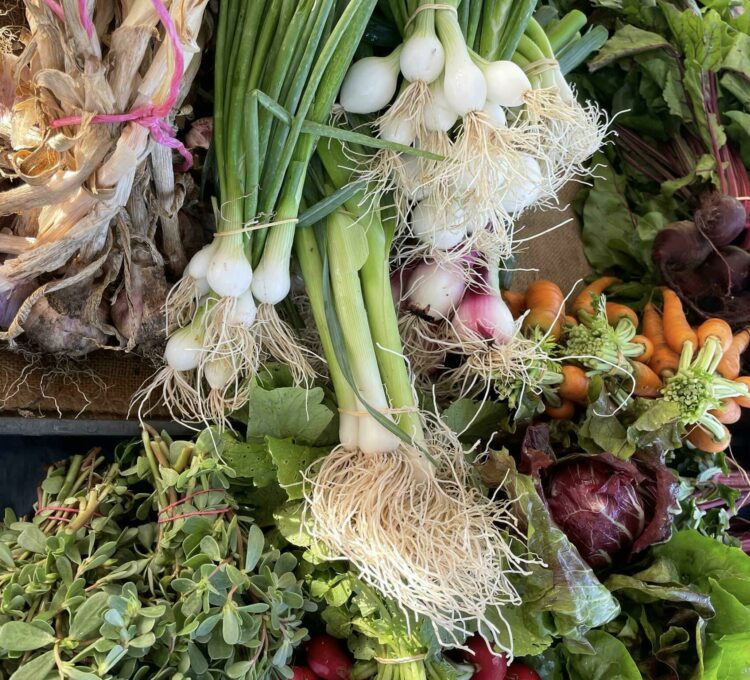 A local’s guide to the best produce in the Manning Valley