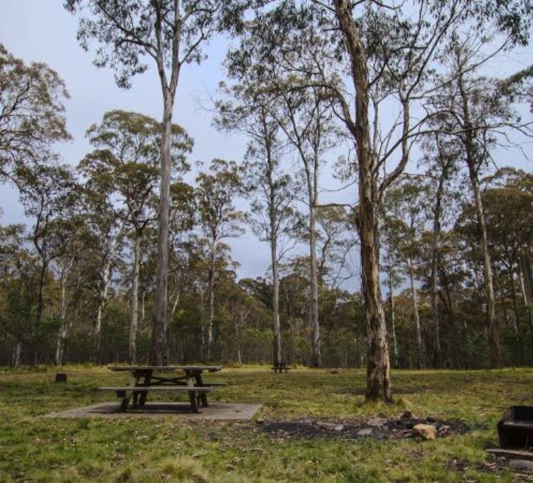 My favourite camping spots in Barrington Tops