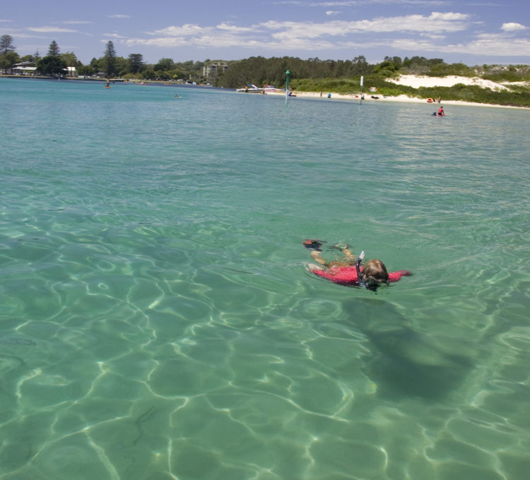 Tips before you enjoy world class snorkelling in the Barrington Coast