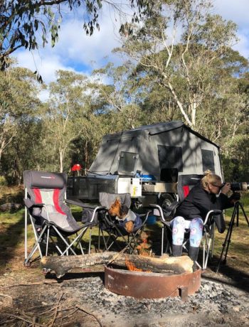 Best places for camping with dogs in the Barrington Coast