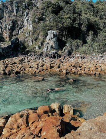 Where to find the best rock pools of the Barrington Coast