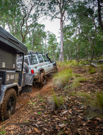 Where to find the best 4WD trails in Barrington Tops
