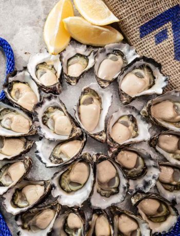 Where to find the best Sydney rock oysters in Australia!