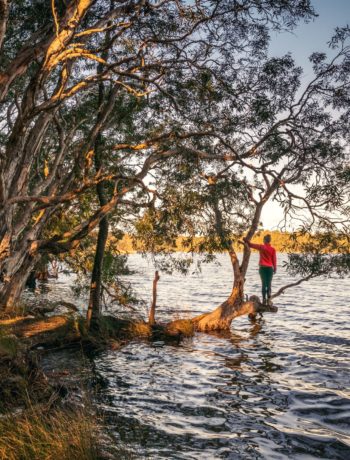 Where to find the best walks around Myall Lake