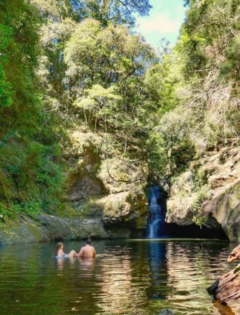 Potoroo Falls in Tapin Tops National Parks