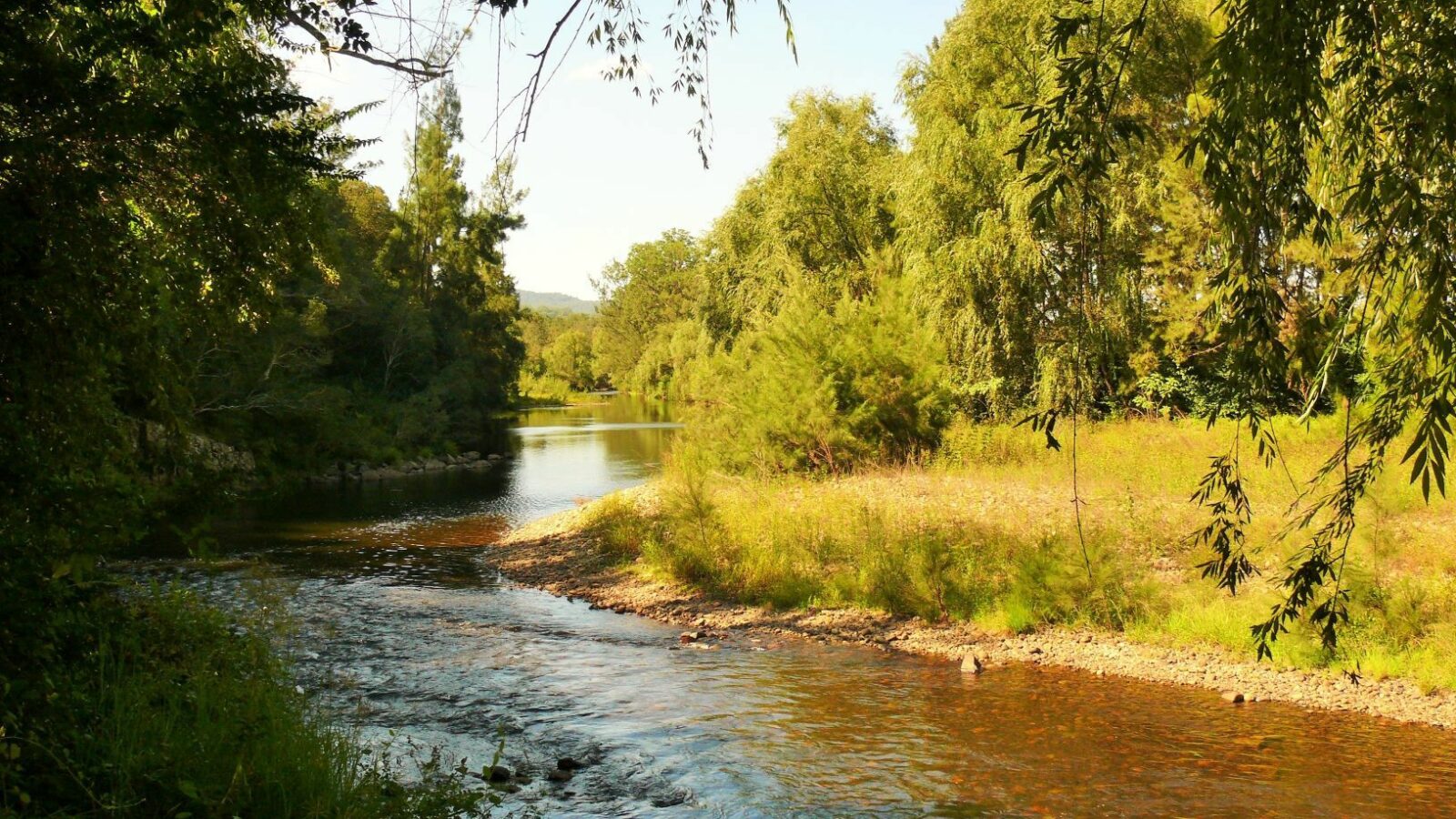 Barrington River at Barrington Reserve