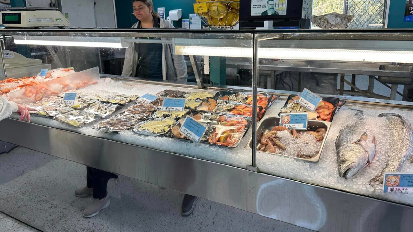 Stones Oysters seafood counter