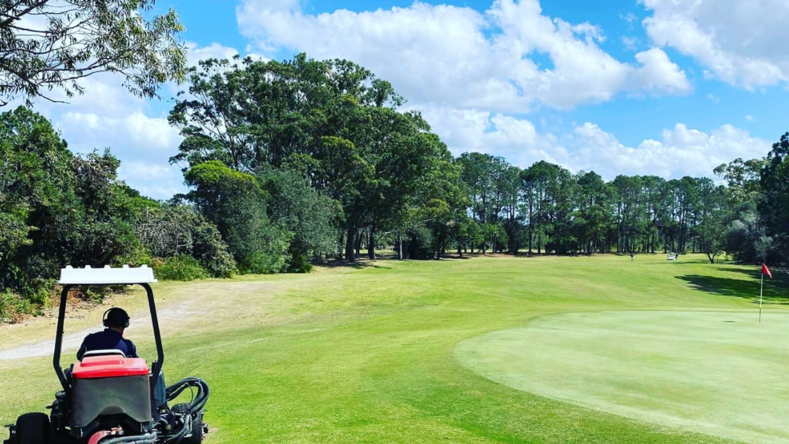 Tuncurry Golf Course green