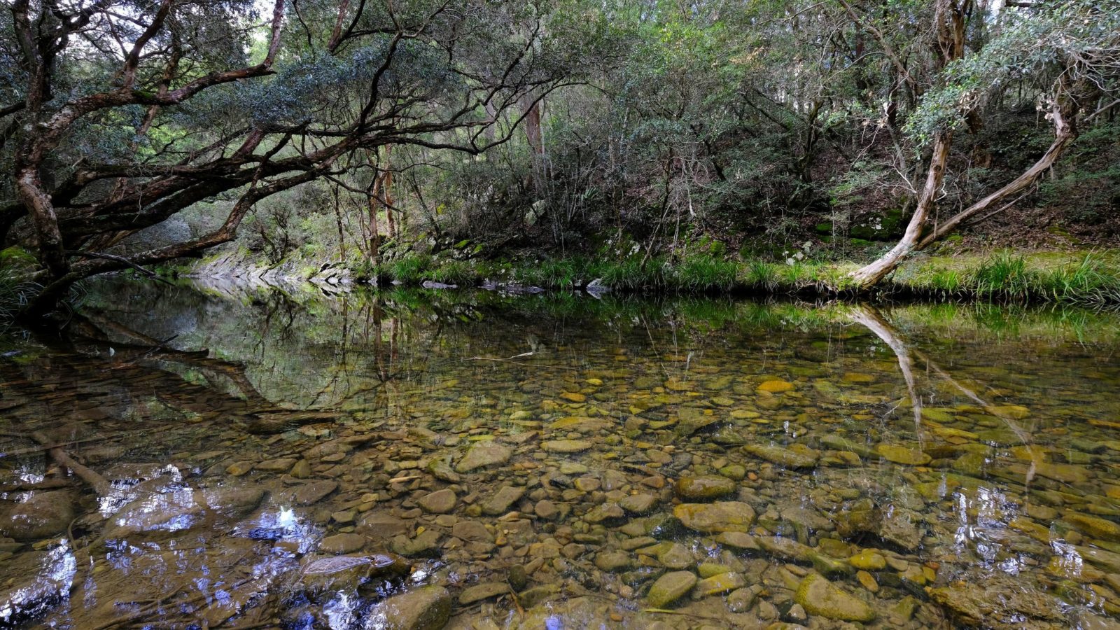 Listen to the trickle of the Gloucester River from your tent