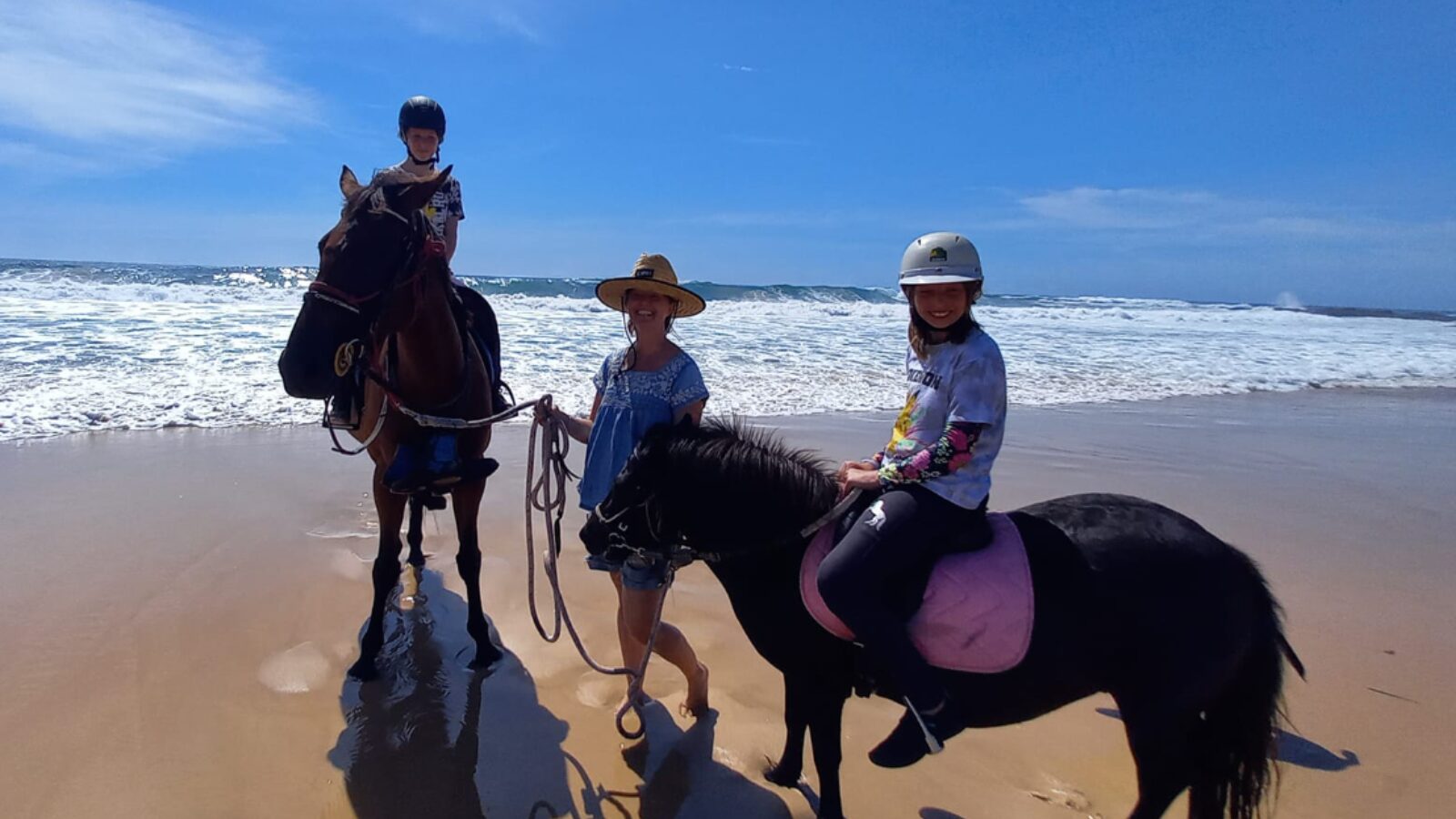 Hallidays Point Equestrian beach riding