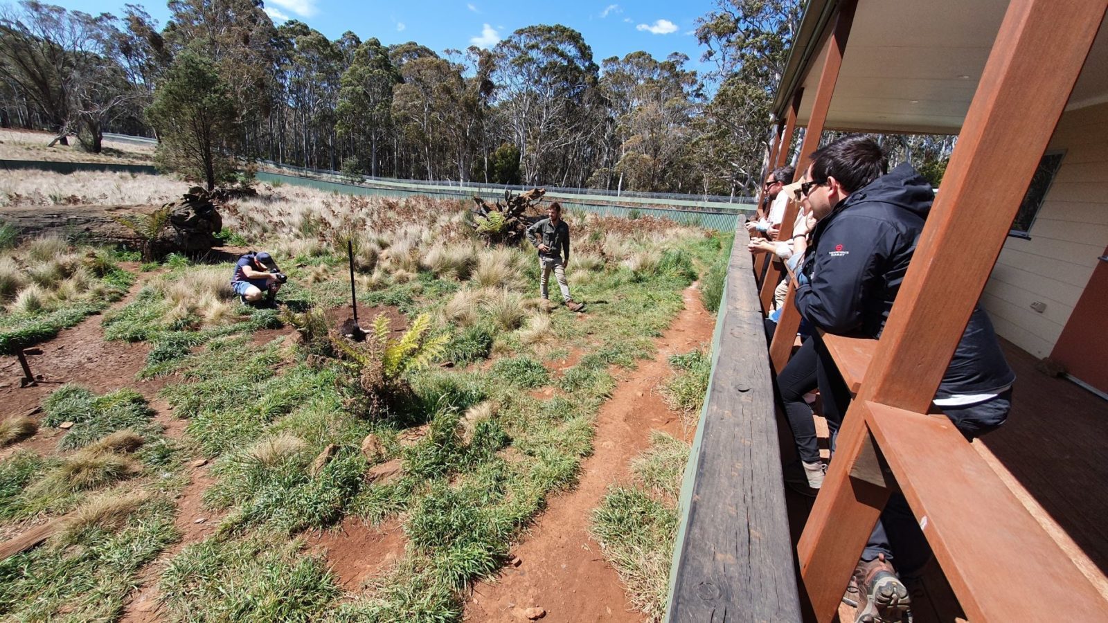 Aussie Ark Tasmanian devil enclosure
