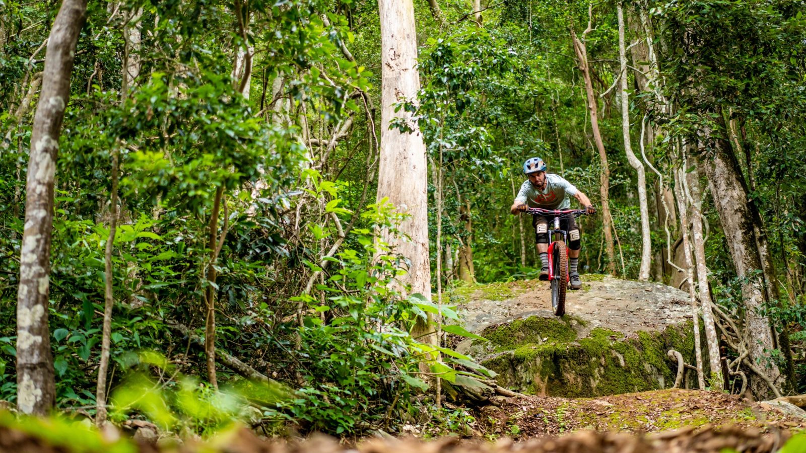 Barrington Bike Park rainforest trails