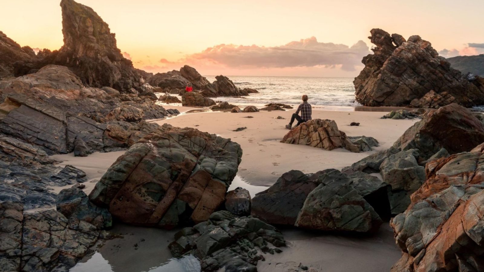 Burgess Beach, Forster