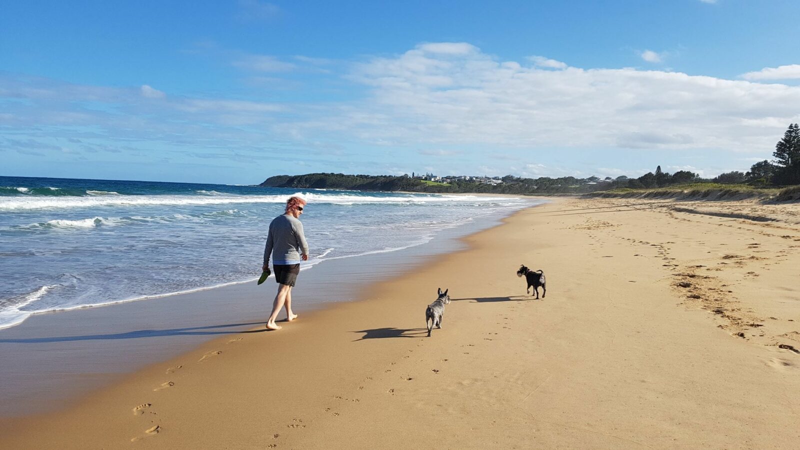 Diamond Beach dog walking