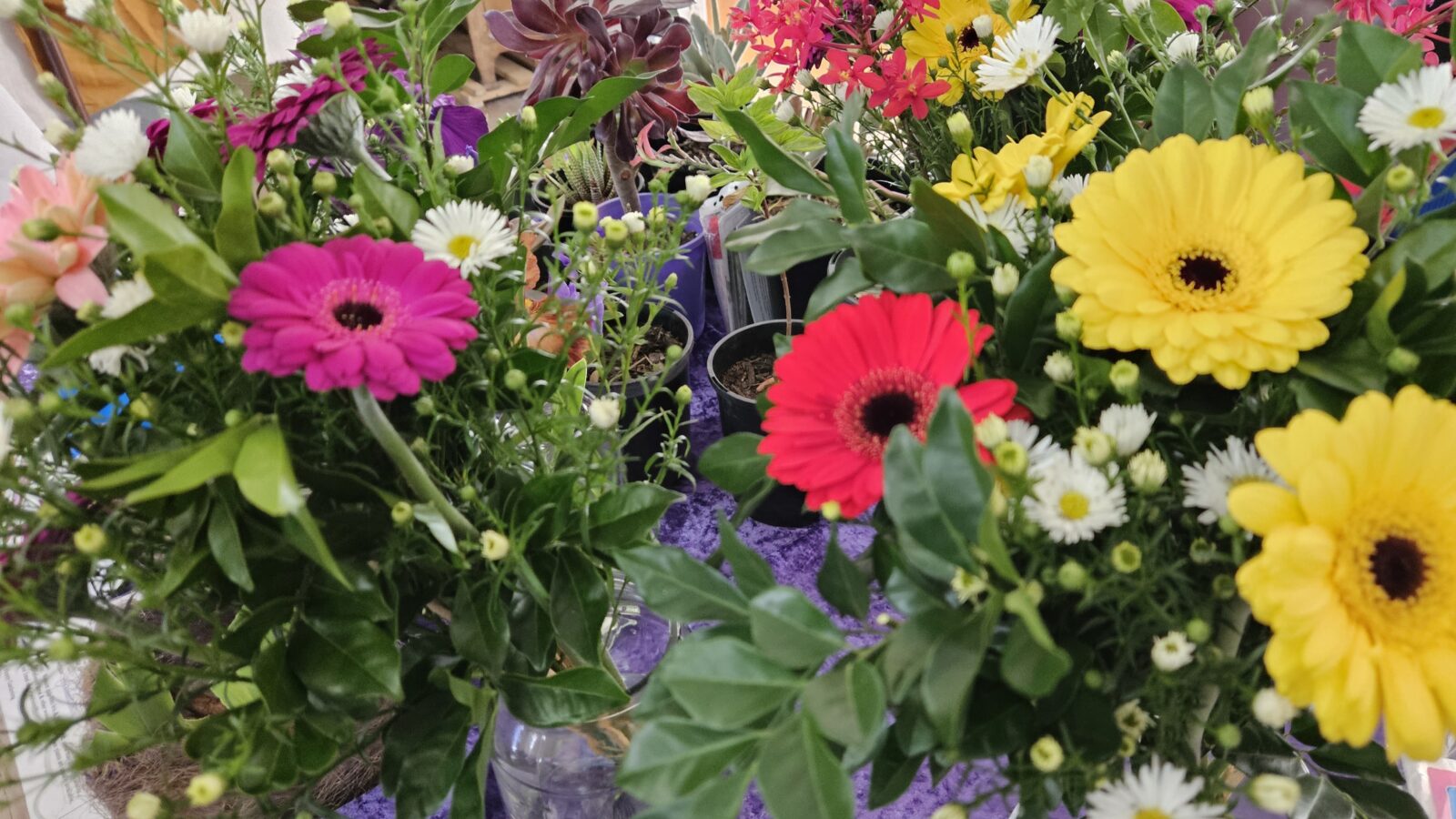 Flame Tree Community Market flower stall
