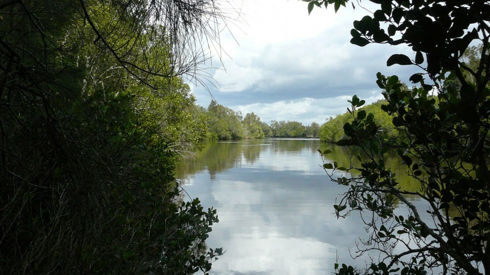 Lansdowne River at Coopernook