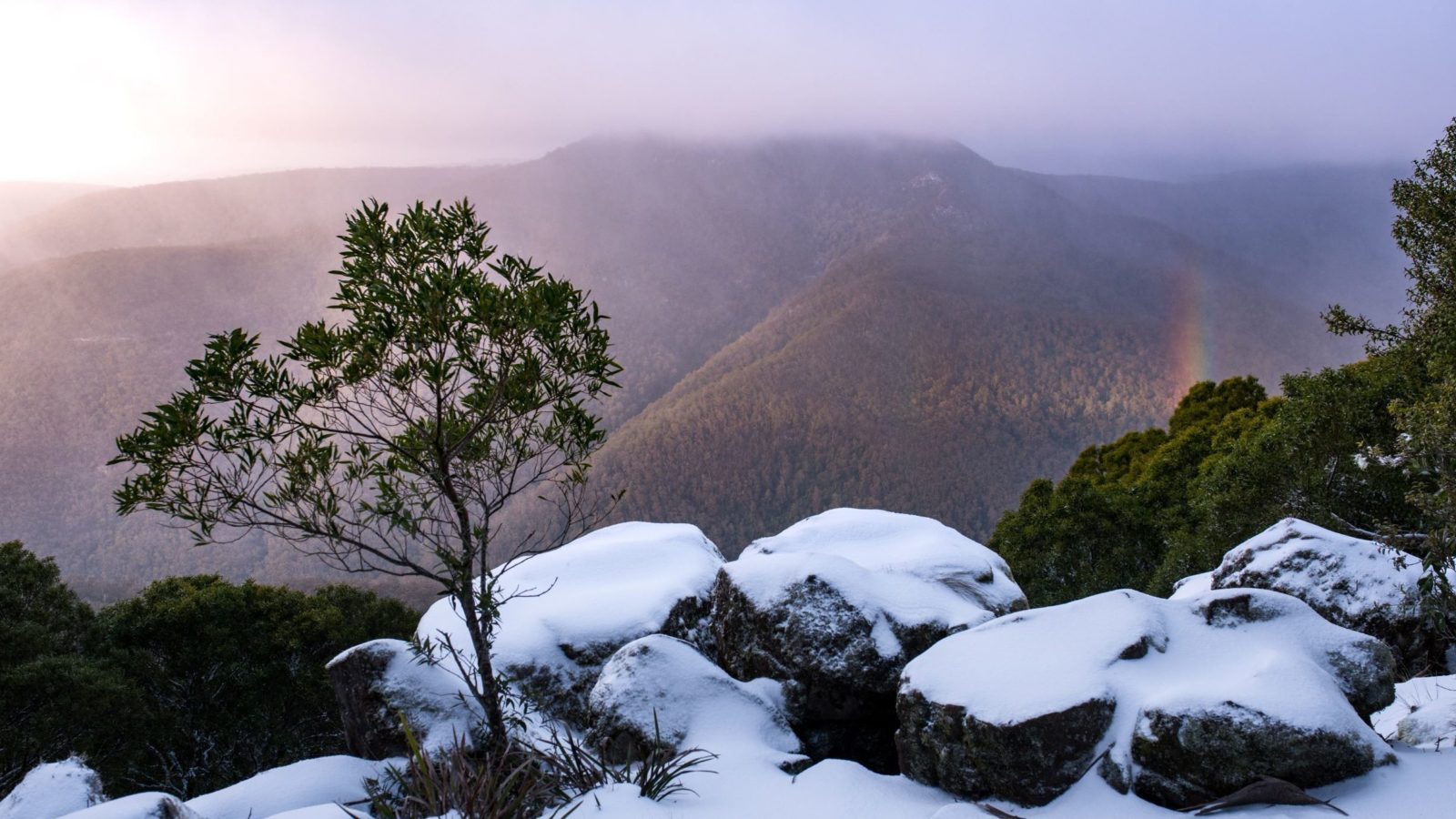 Barrington Tops receives frequent dustings of snow in the winter months