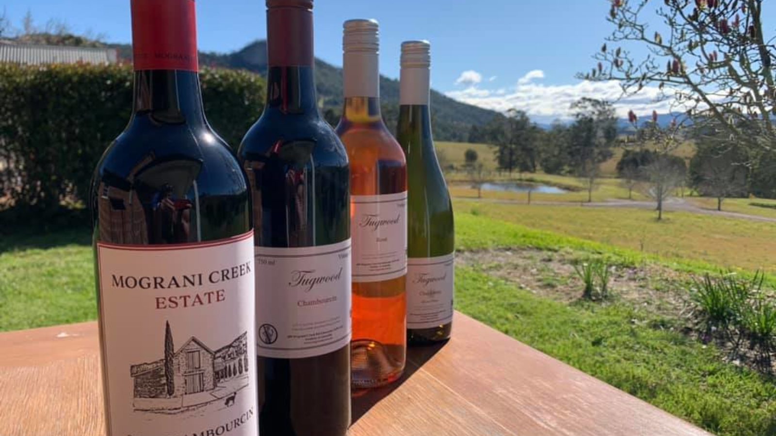 Mograni Creek Estate wine selection with view