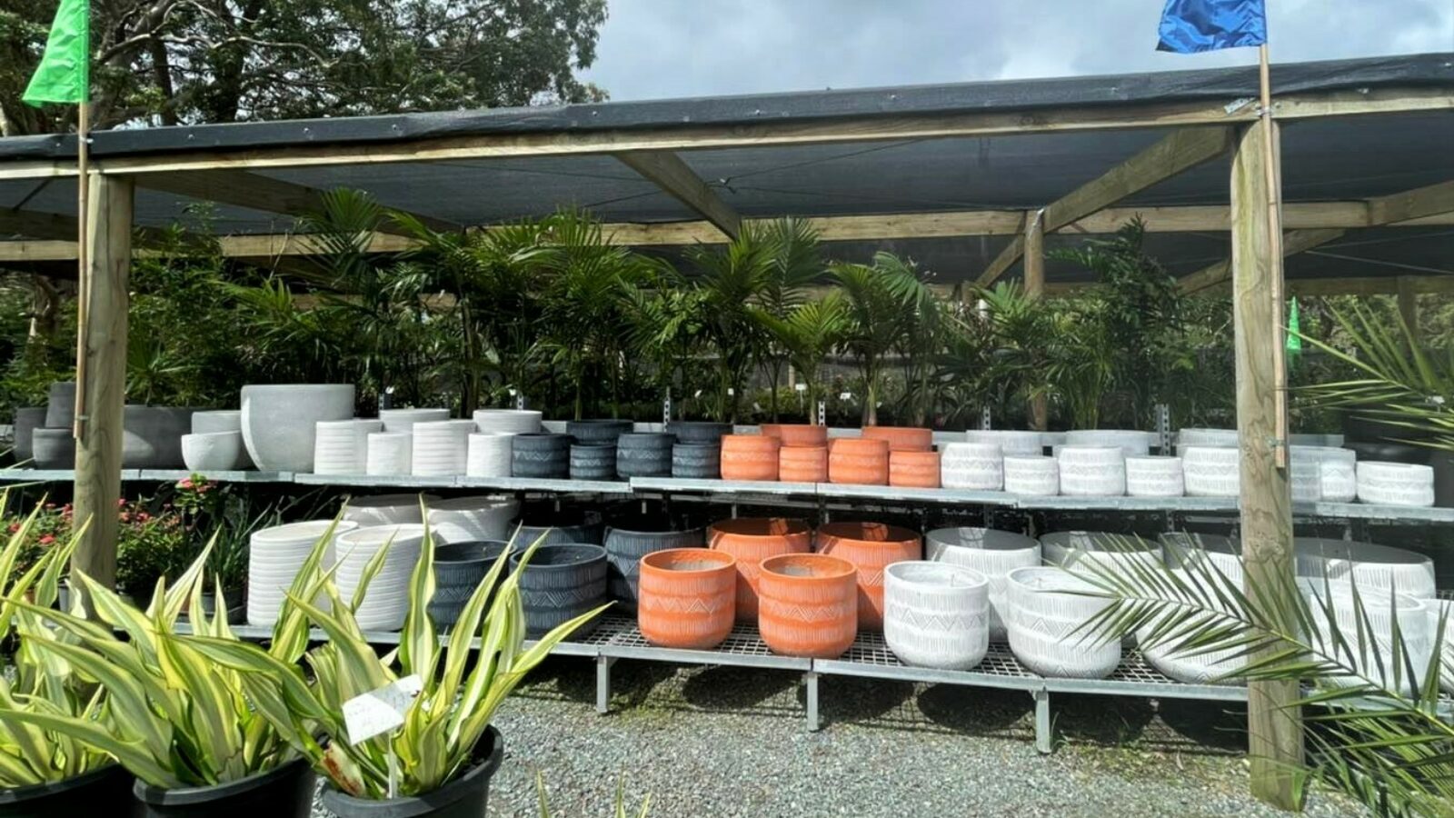 Palms Landscape Supplies pots