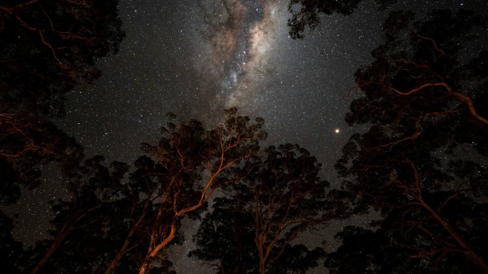 The clear night skies about Polblue Campground, Barrington Tops