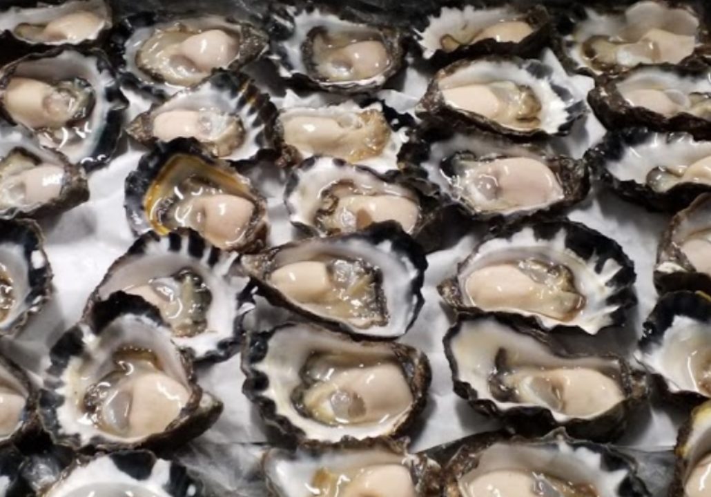 Baines Oysters