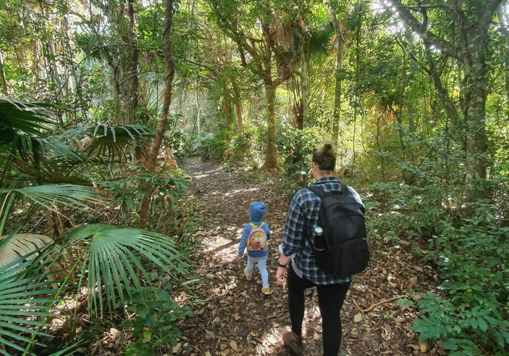Booti Hill Walking Track, dense bushland and family friendly