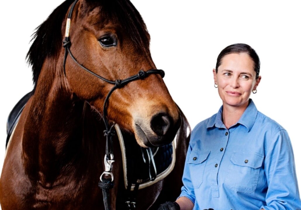 Calm, Willing, Confident Horses Clinic