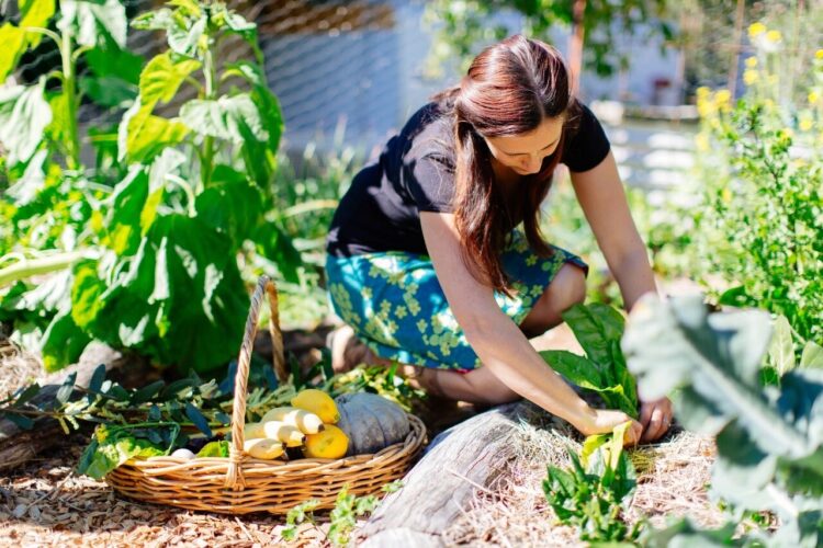 Garden to Table Permaculture