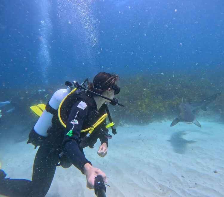 Teigan Nash diving with grey nurse sharks at Forster.