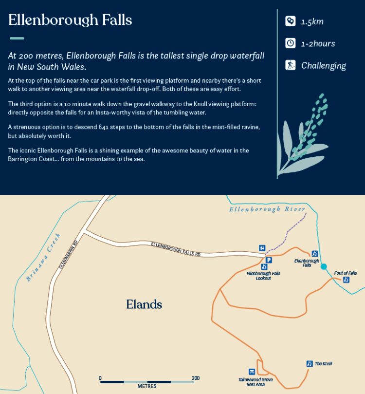 Ellenborough Falls walks map