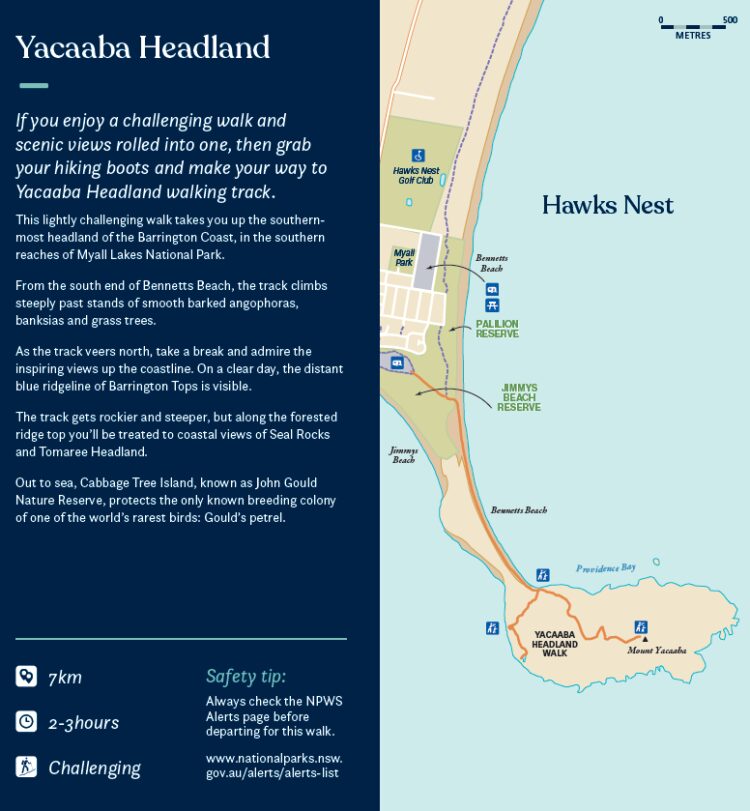 Yacaaba Headland walk map