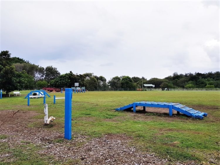 Dog agility track at Beach Street Reserve, Tuncurry