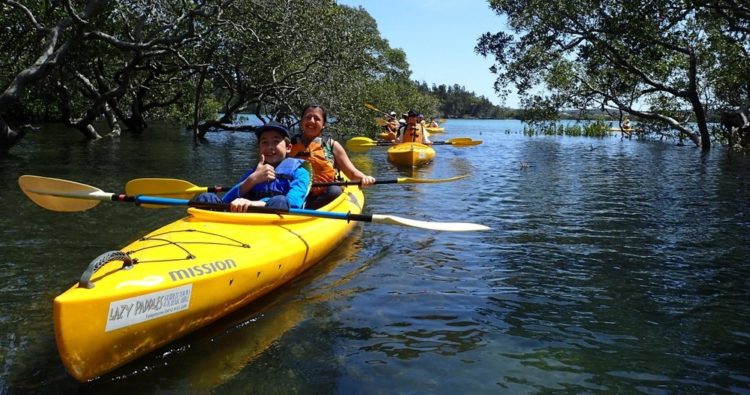 Paddle the Myall Lakes system with the experts from Lazy Paddles