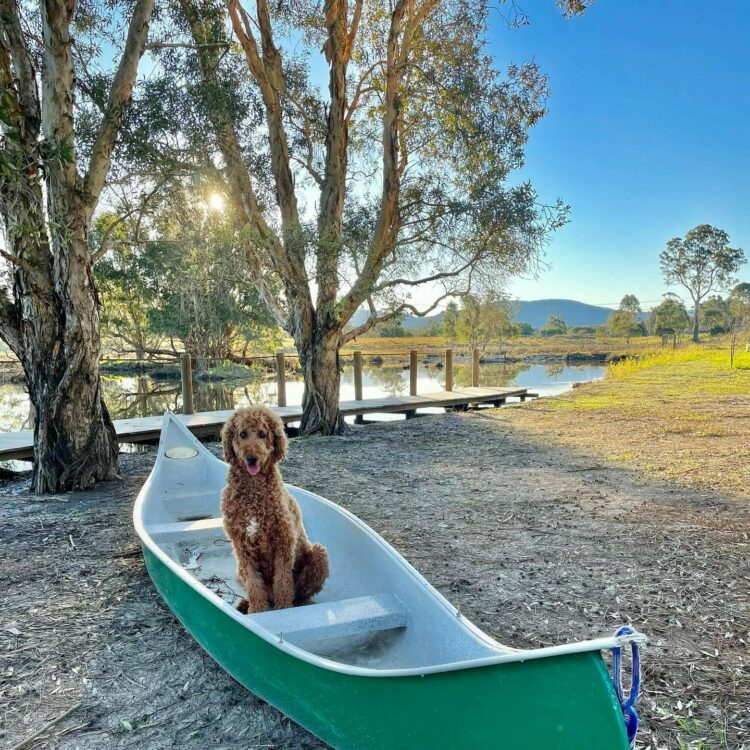 All of the caravan and camping sites at Big4 River Myall Holiday Resort are pet-friendly,