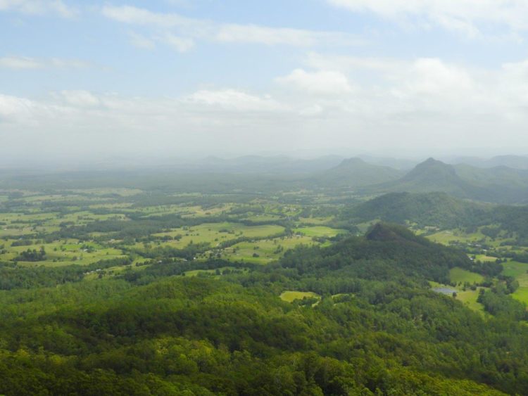 Flat Rock Lookout in Coorabakh National Park