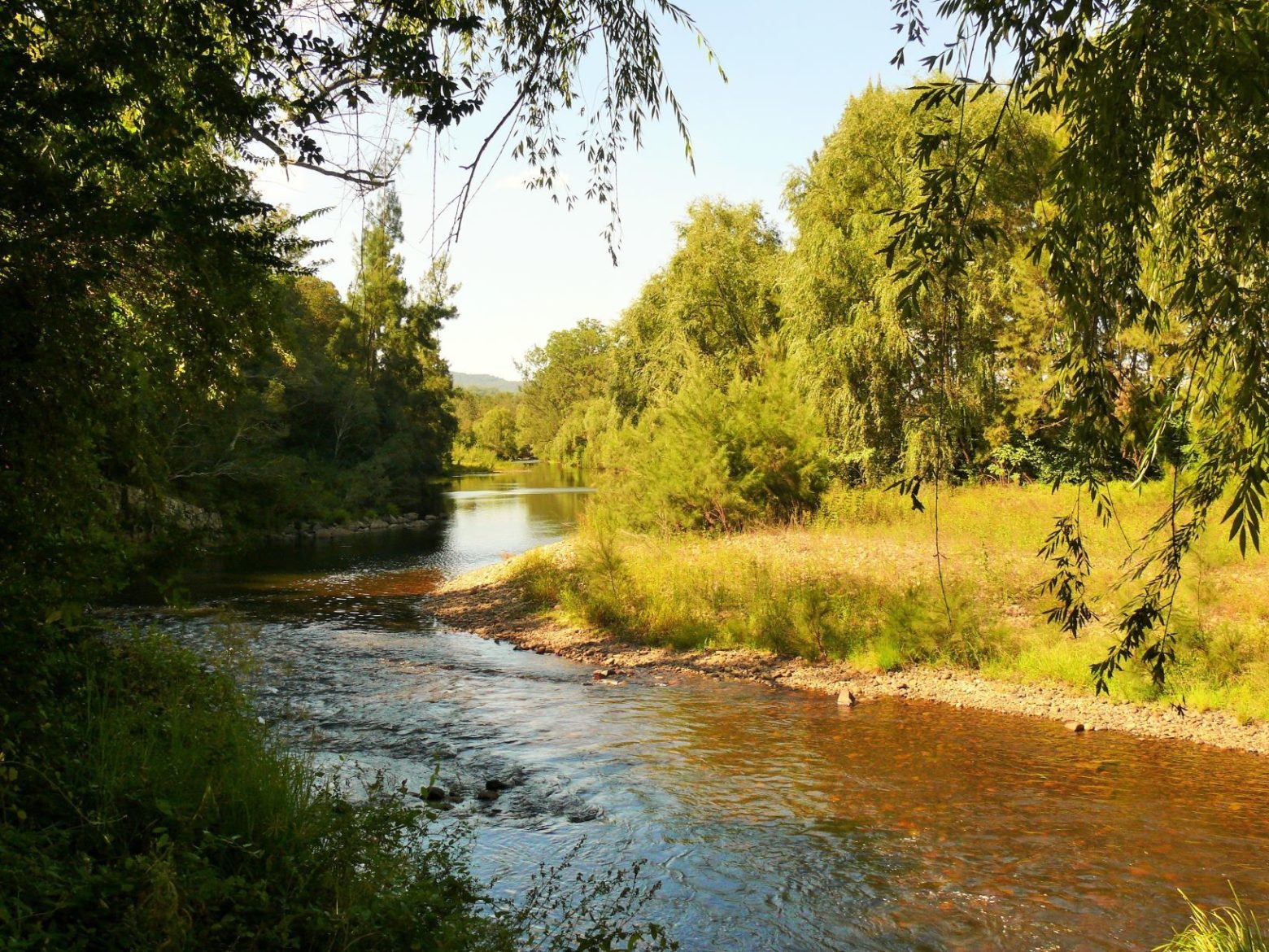 Barrington River at Barrington Reserve