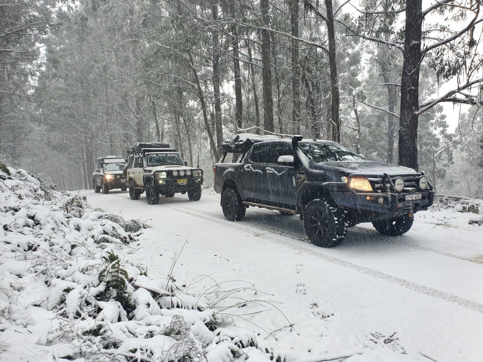 Barrington Tops four-wheel driving in the snow 2019