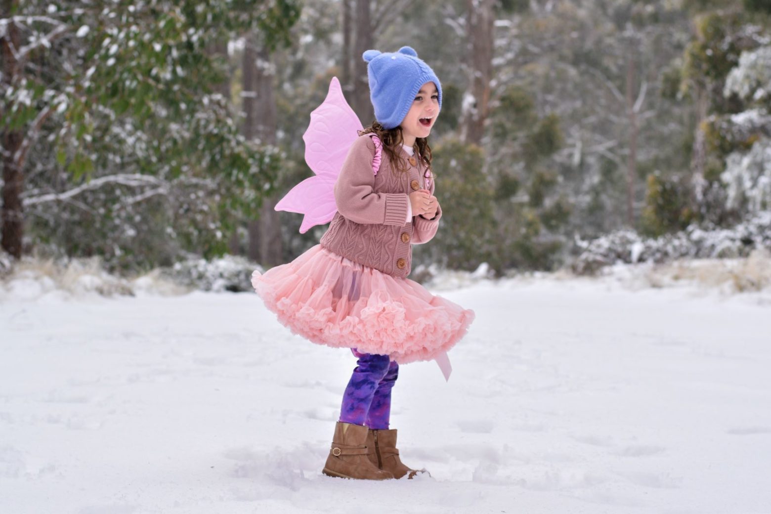 Barrington Tops snow