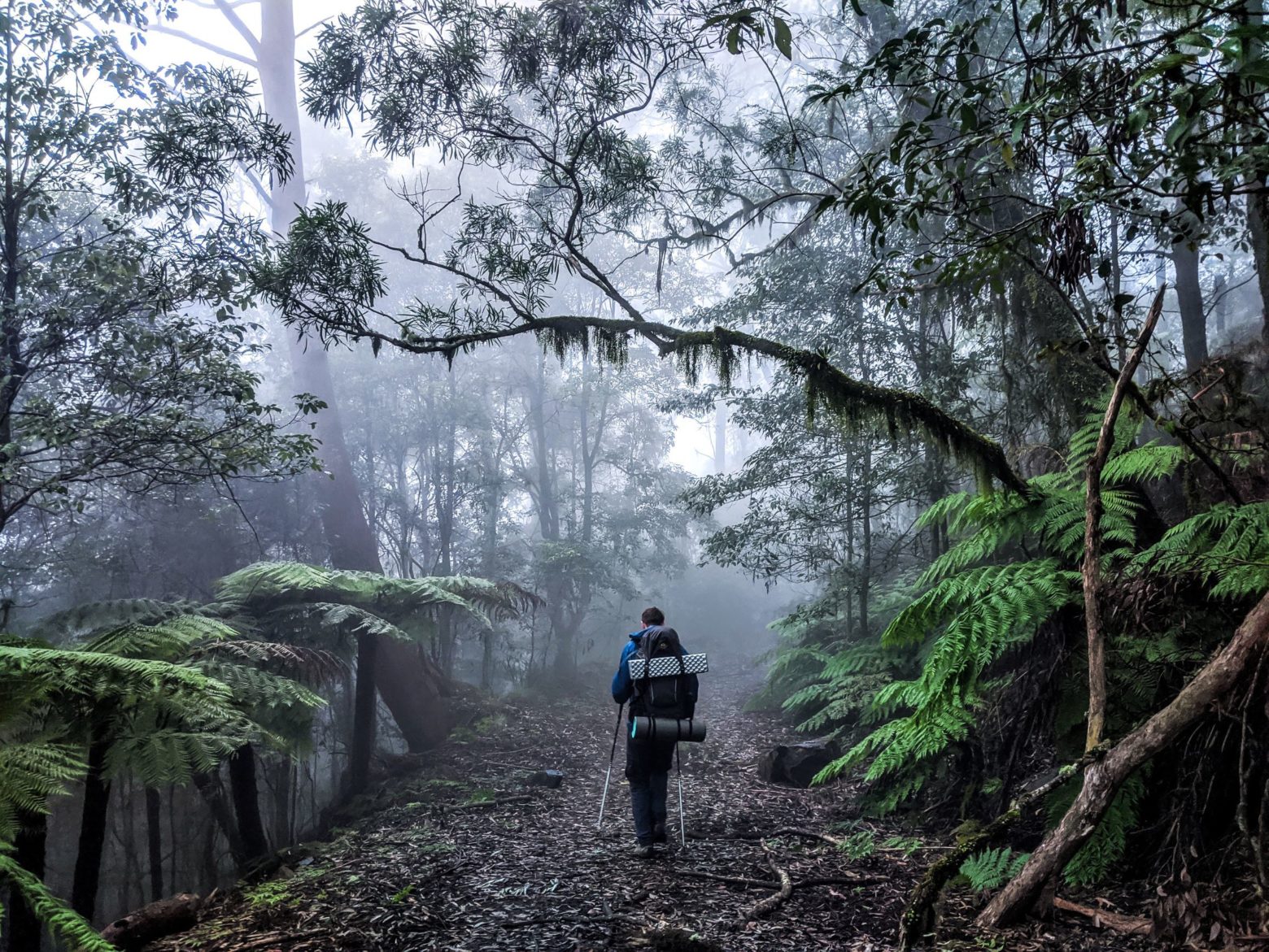 Corker Trail. Image: IG/@suzchell