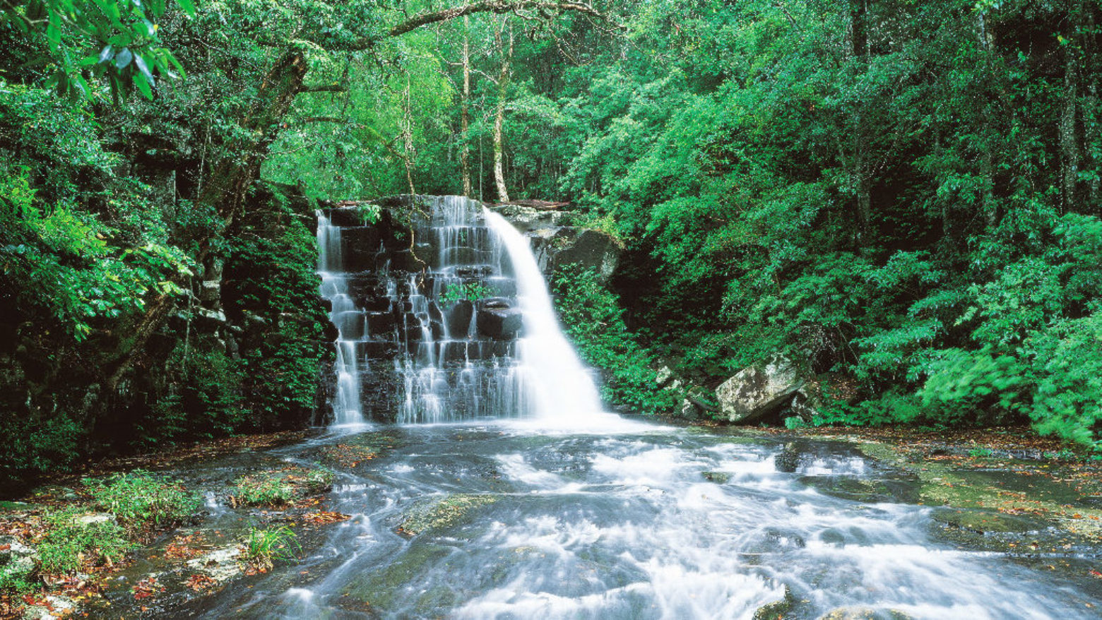 Jerusalem Creek Falls