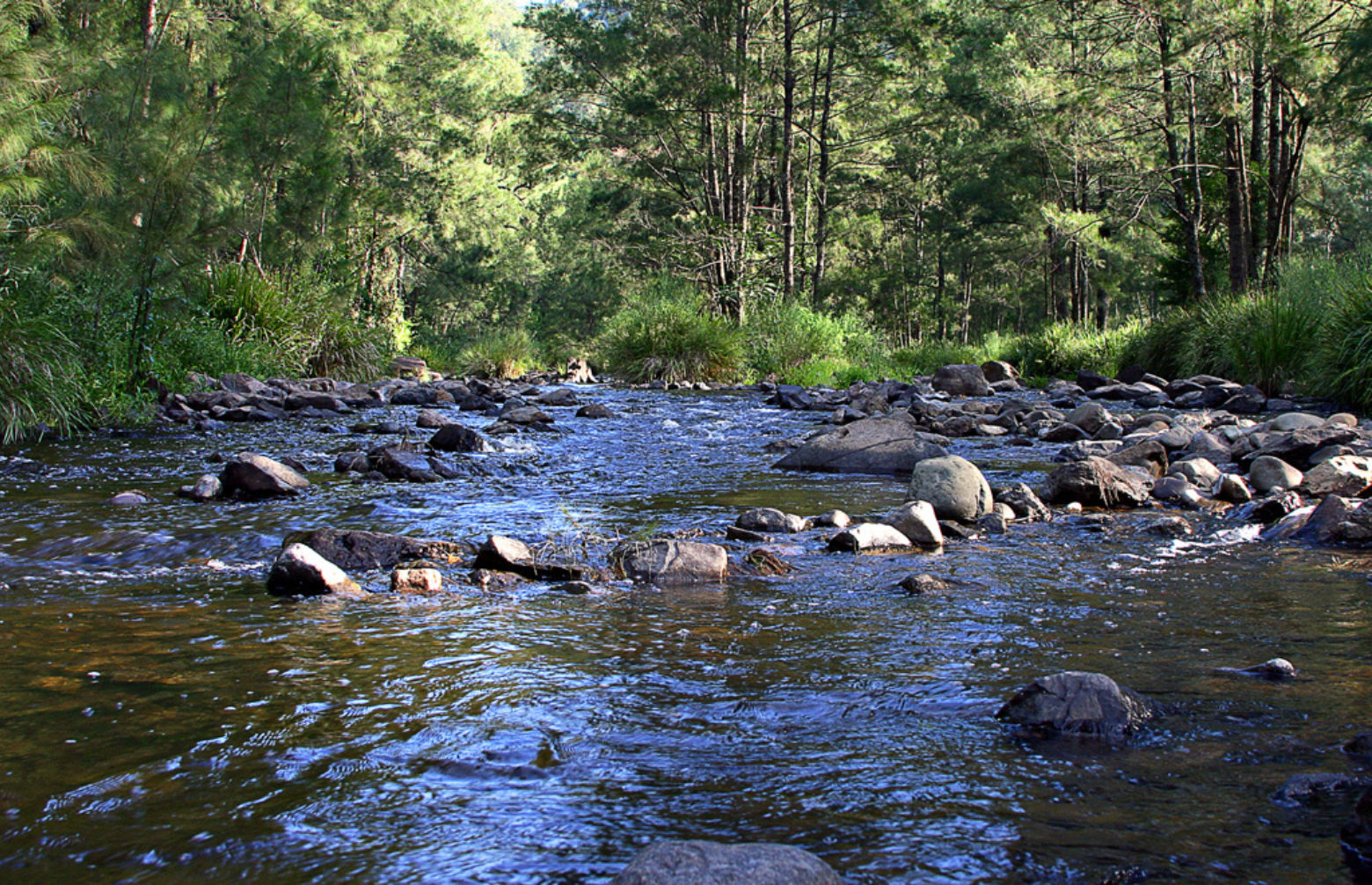 Manning River at Gloryvale Reserve