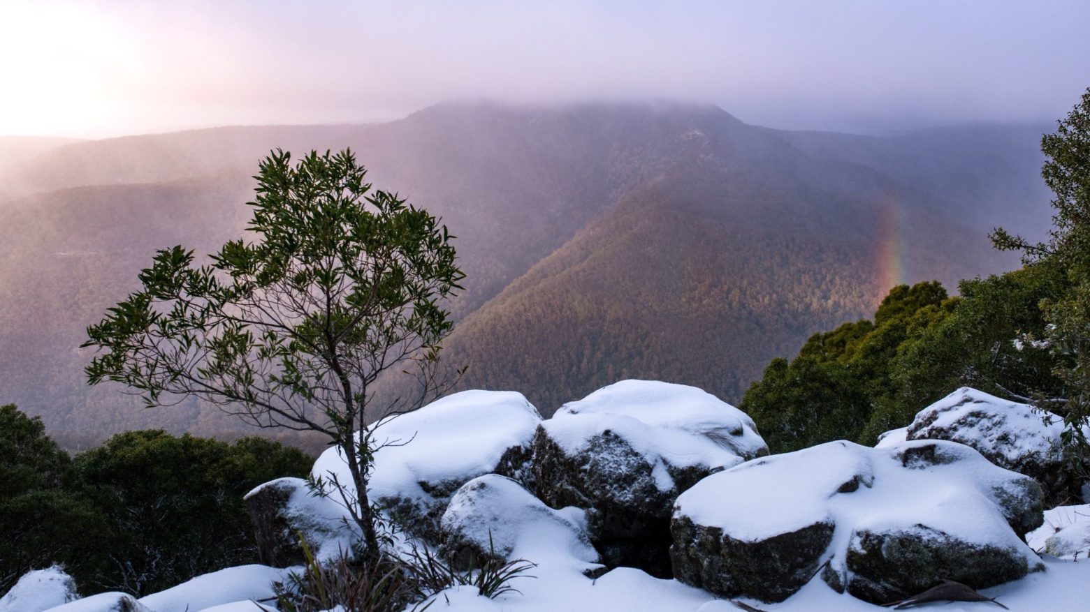 Seeing Barrington Tops snow is a favourite.