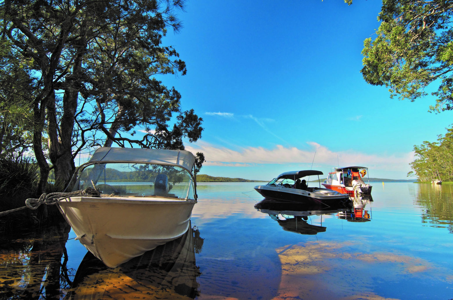 Neranie in Myall Lakes National Park (photo: unknown)